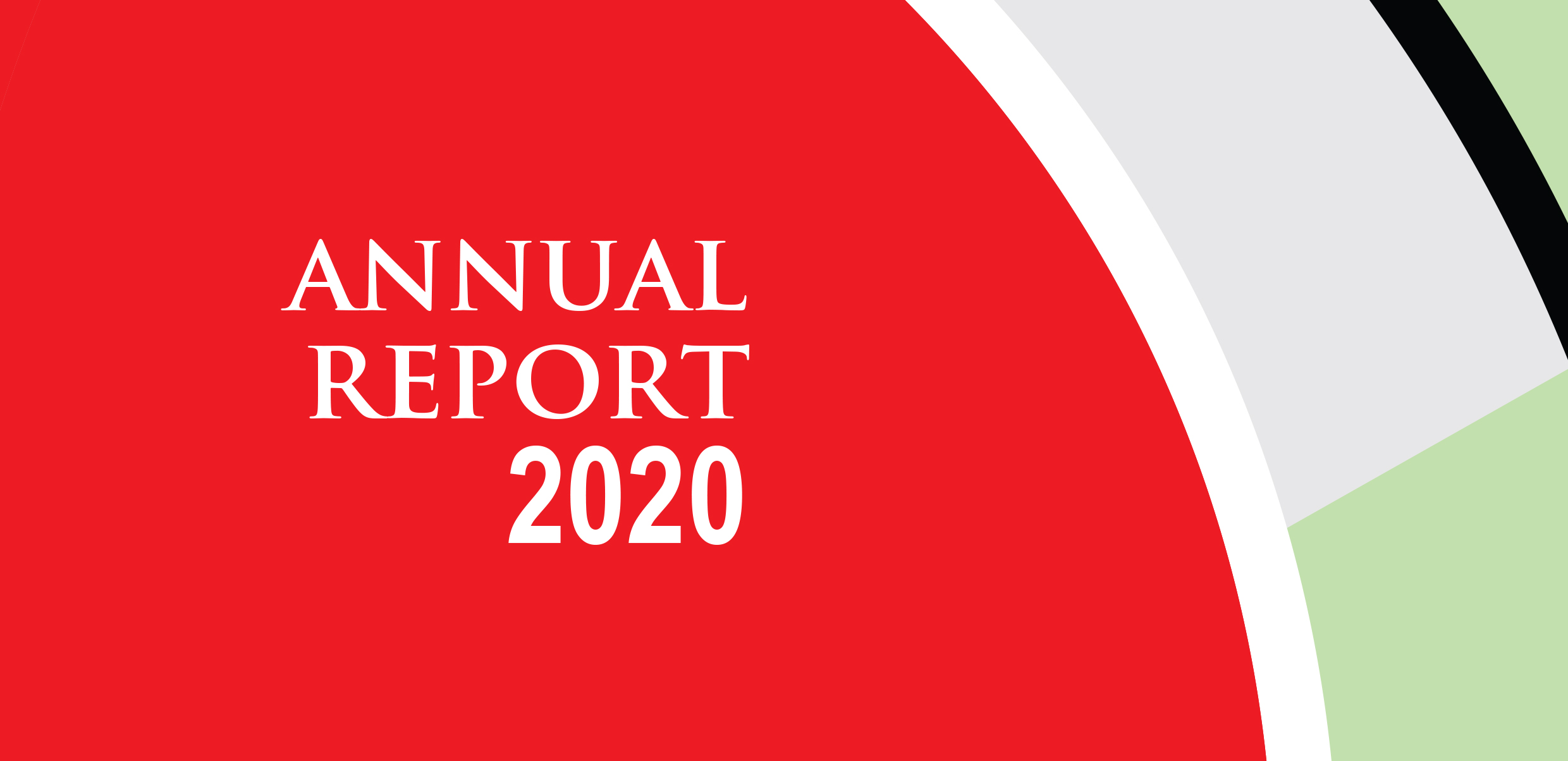 Read our Annual Report 2020!