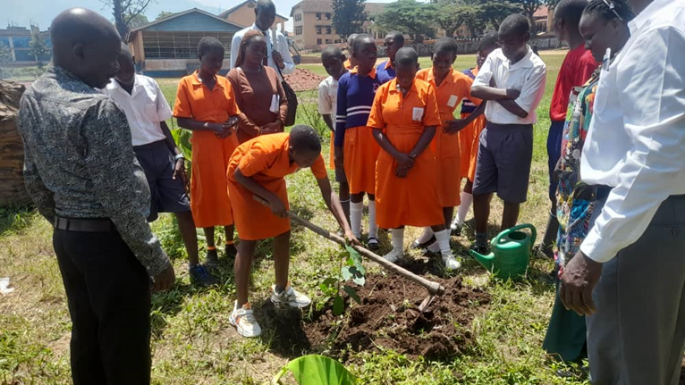 The winner of the essay writing challenge leads the learners in planting a tree in the presence of the teachers and project team members at North Road Primary School in Mbale City. 