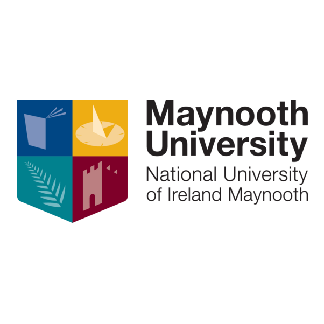 Maynooth University