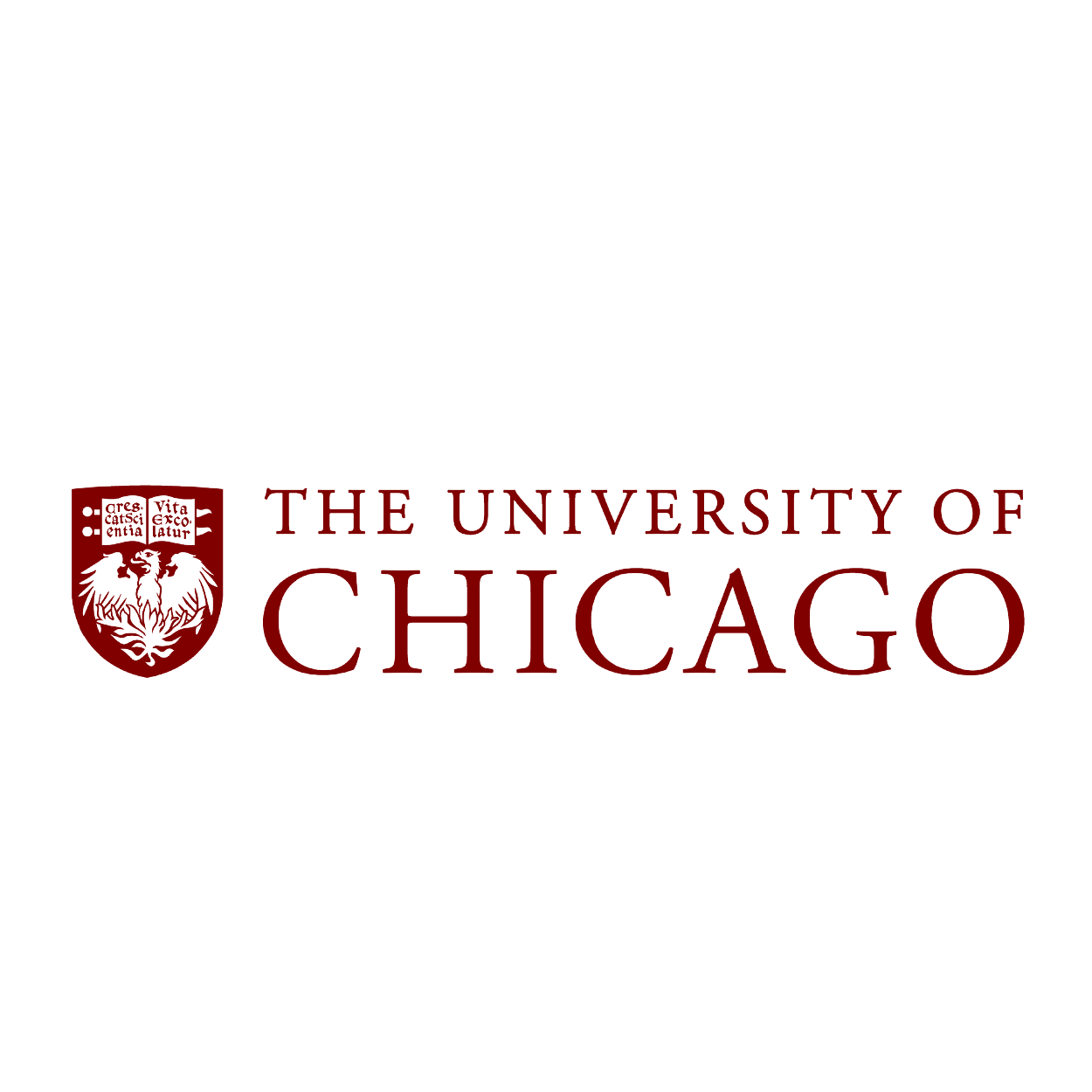 University of Chicago